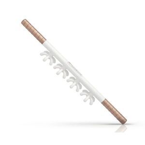 Ashley Black Faciablaster- EUC